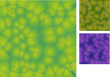Examples of the JavaScript Voronoi implementation.